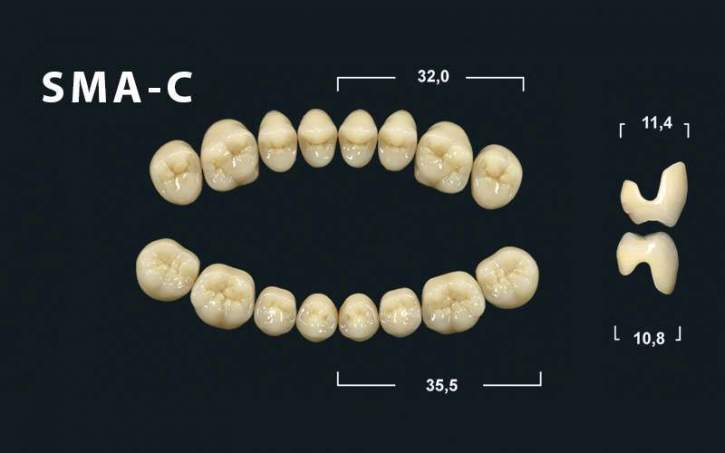 TRIBOS 501 C Acrylic teeth Composite SMA